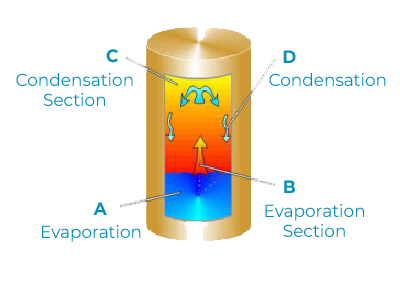 Phase Change Heat Transfer Column
